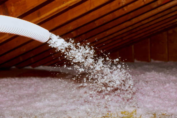 Best Fiberglass Insulation in Arnold, MO