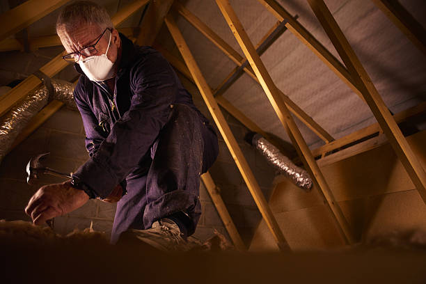 Best Commercial Insulation in Arnold, MO